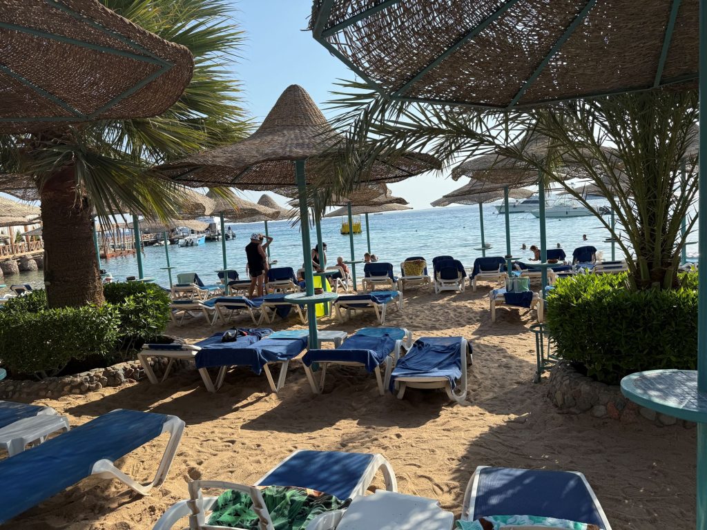 sunbeds on the beach at Bella Vista