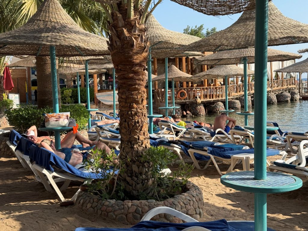 tourists on sunbeds, on the beach